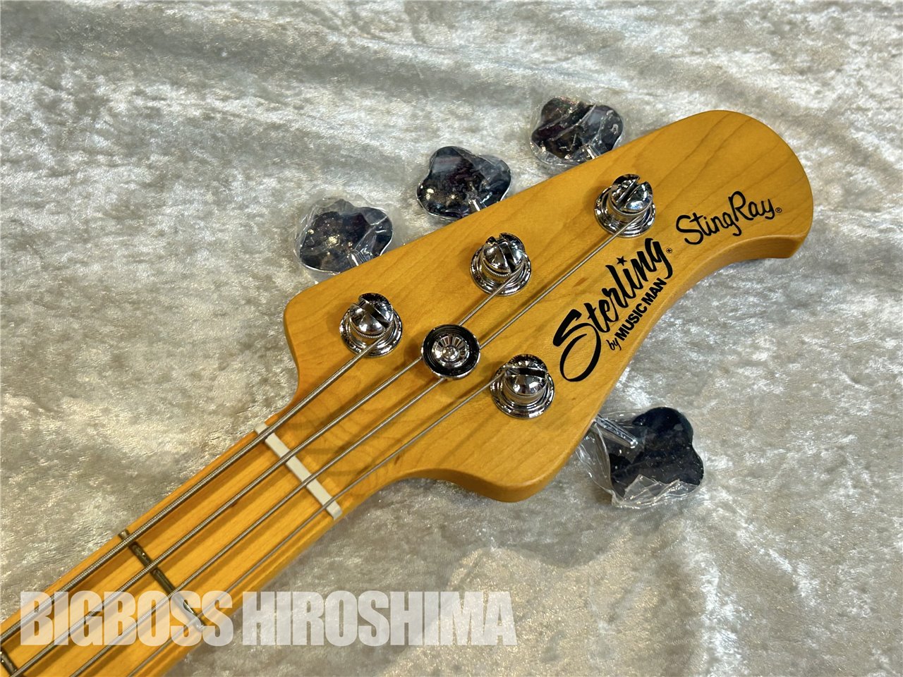 【即納可能】Sterling by MUSIC MAN RAY24CA / Olympic White 広島店