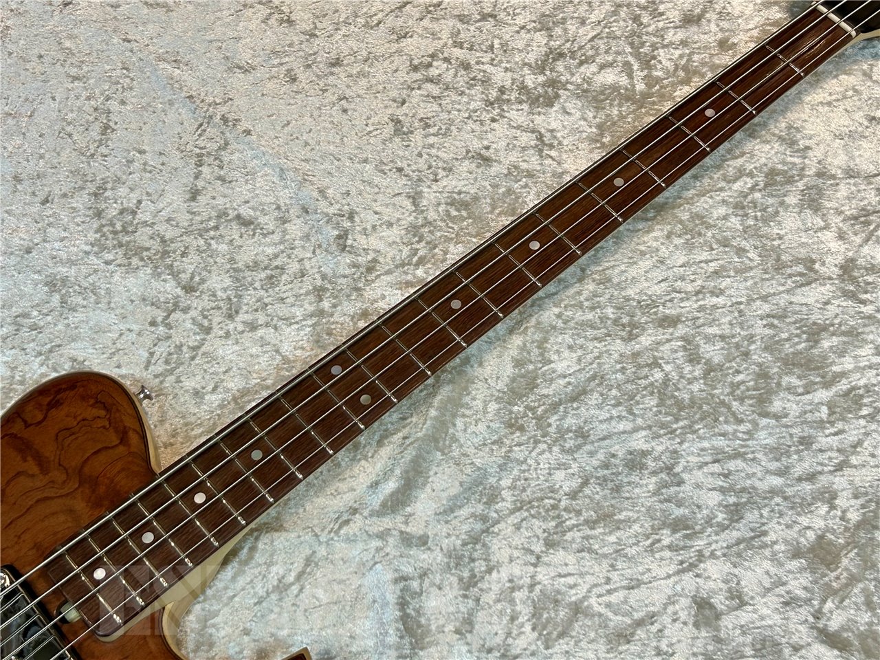 【即納可能】T.S factory 151A-TSSP Bubinga (Natural Matt Finish) 広島店