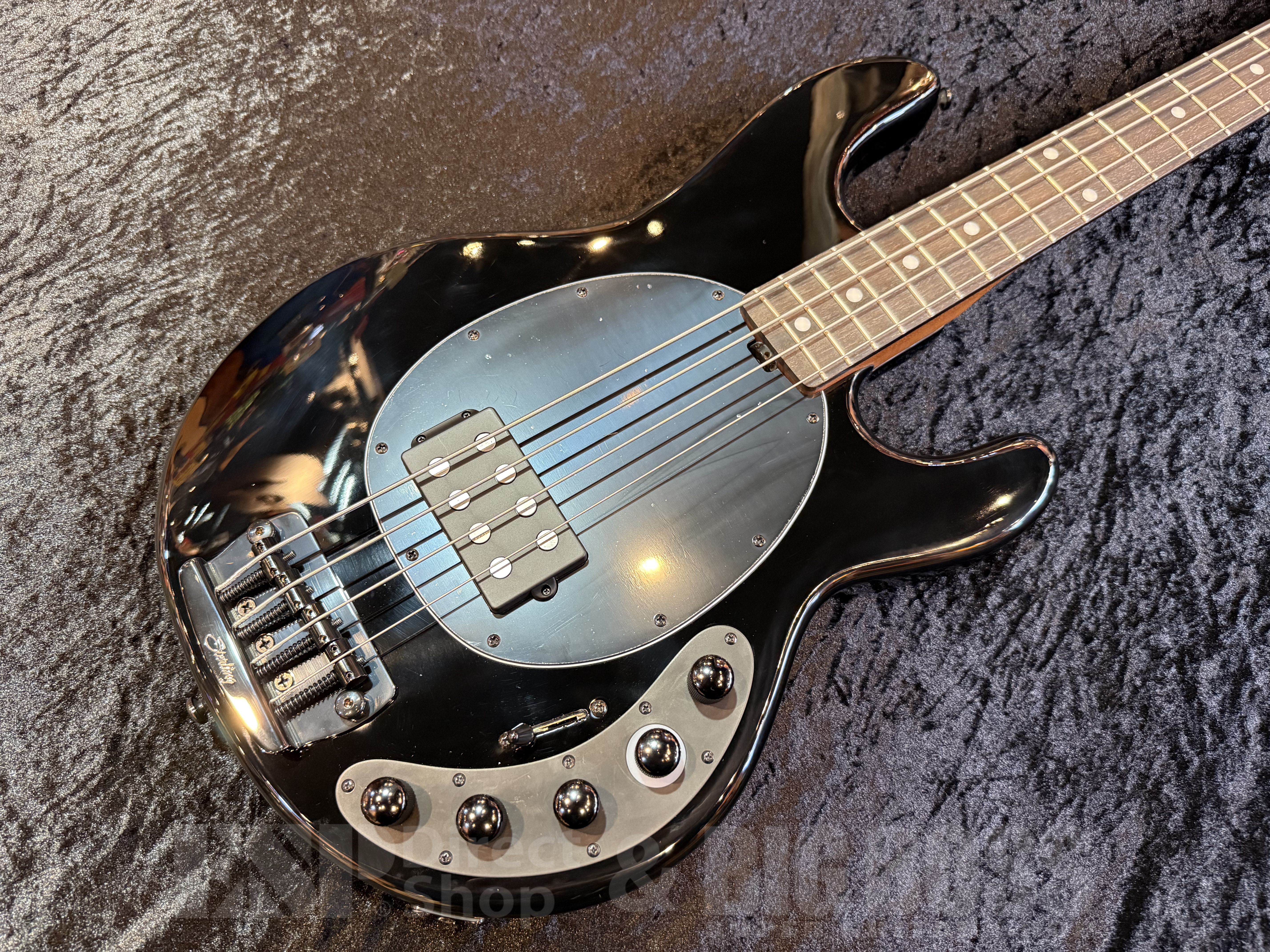 ギター Sterling 即納可能】Sterling by MUSIC MAN （スターリンバイミュージック