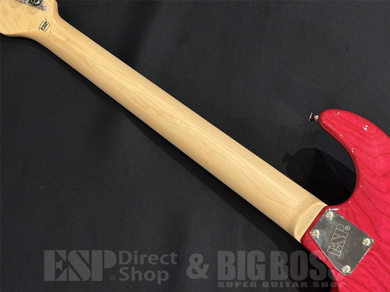 【即納可能】EDWARDS (エドワーズ) E-SNAPPER-AS/M / See Thru Pink 京都店