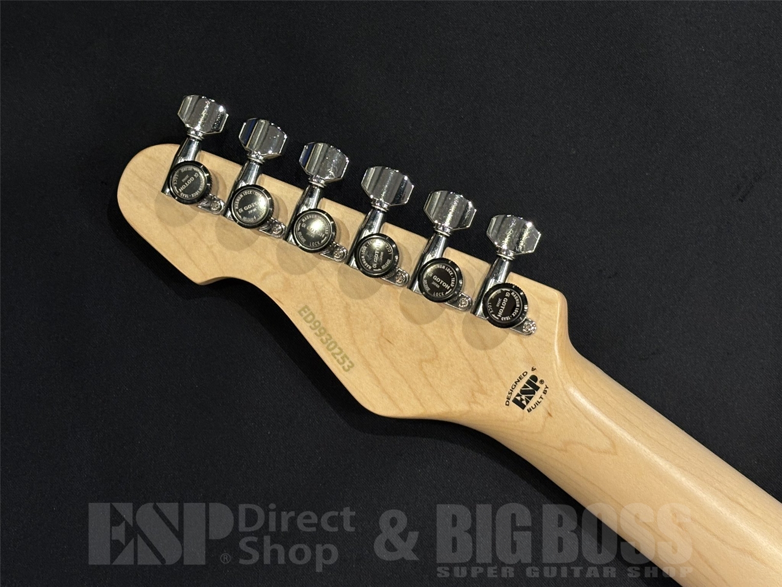 【即納可能】EDWARDS (エドワーズ) E-SNAPPER-AS/M / See Thru Pink 京都店