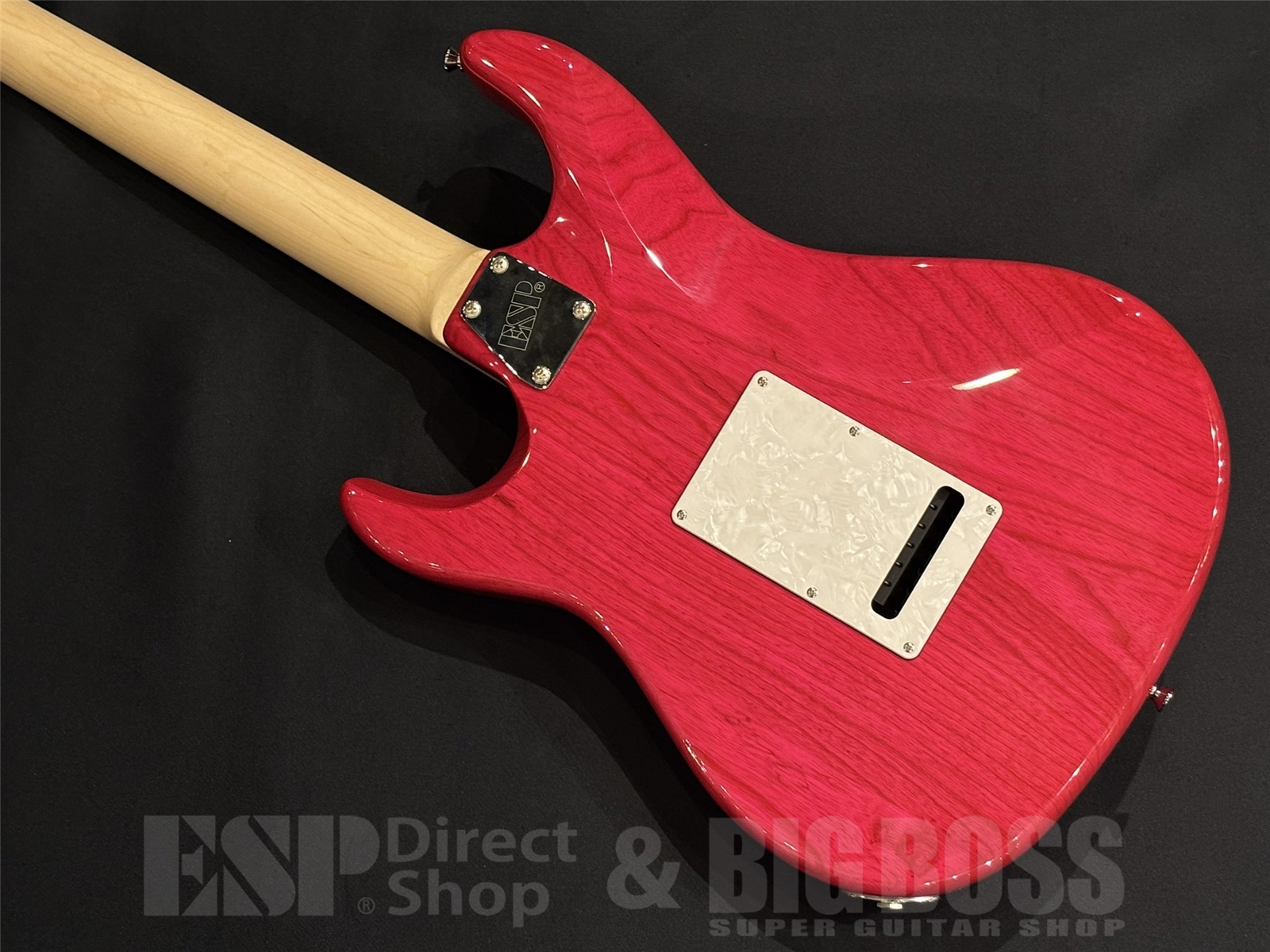 【即納可能】EDWARDS (エドワーズ) E-SNAPPER-AS/M / See Thru Pink 京都店