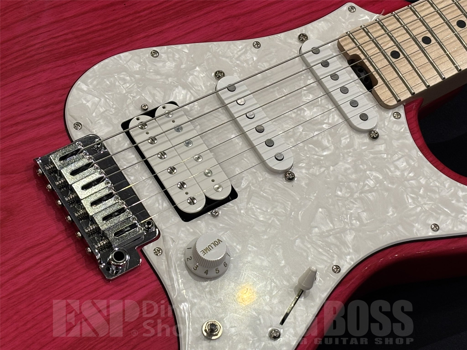 【即納可能】EDWARDS (エドワーズ) E-SNAPPER-AS/M / See Thru Pink 京都店