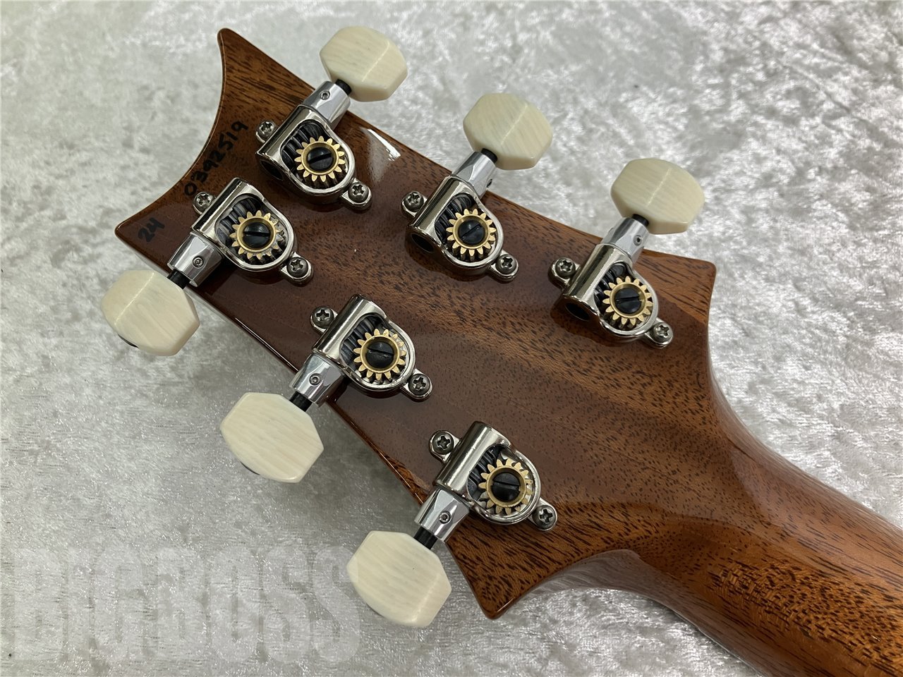 即納可能】Paul Reed Smith(ポールリードスミス/PRS) DGT Bird