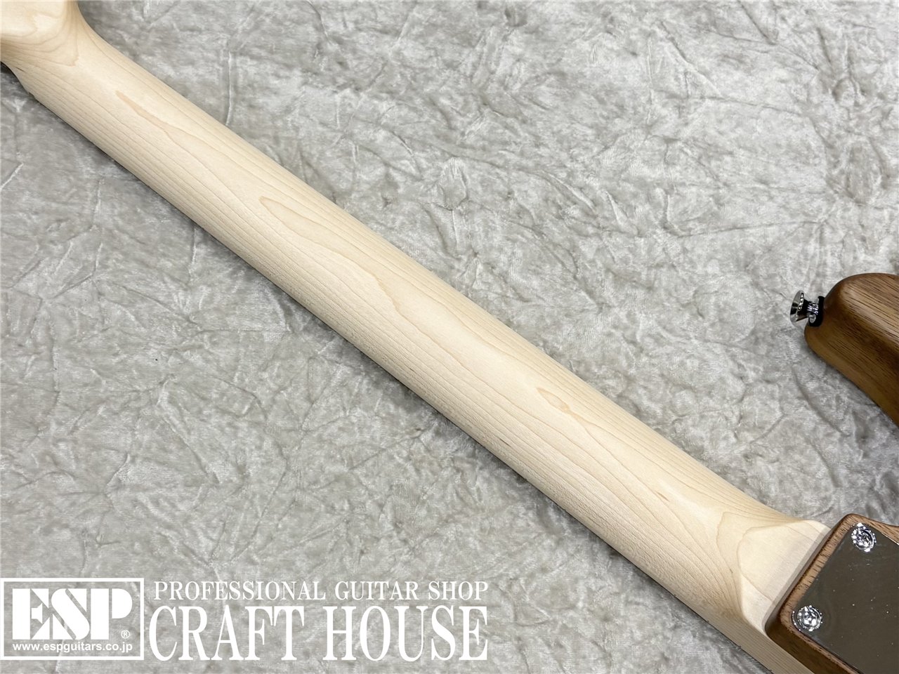 【即納可能】dragonfly CL-HST DM SSH /NATURAL HALF MATT　渋谷店