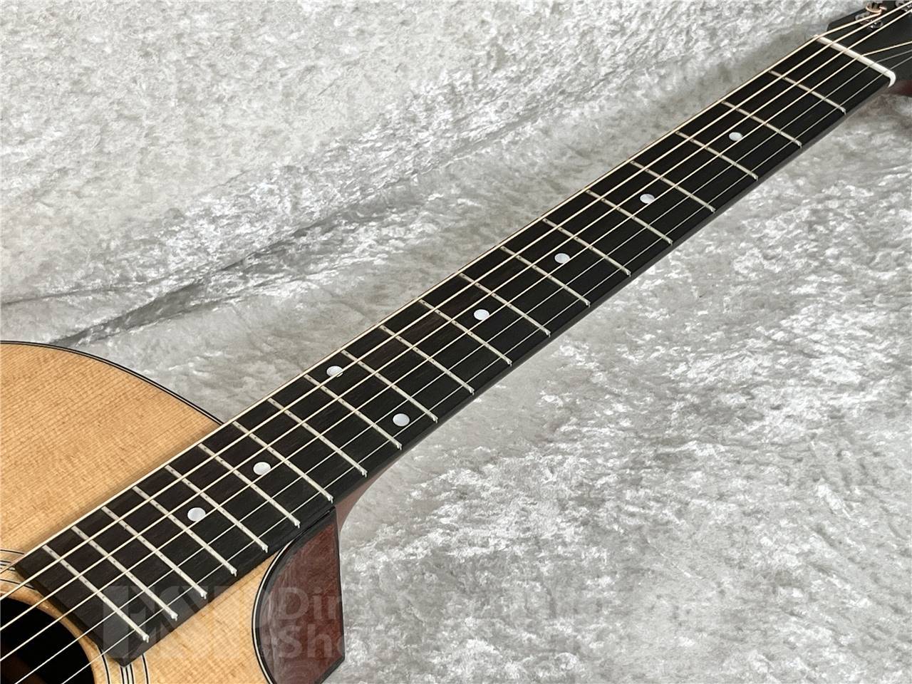 【即納可能】Eastman(イーストマン) AC122-1CE-DLX (エレクトリック・アコースティック)お茶の水駅前店・別館 - 5