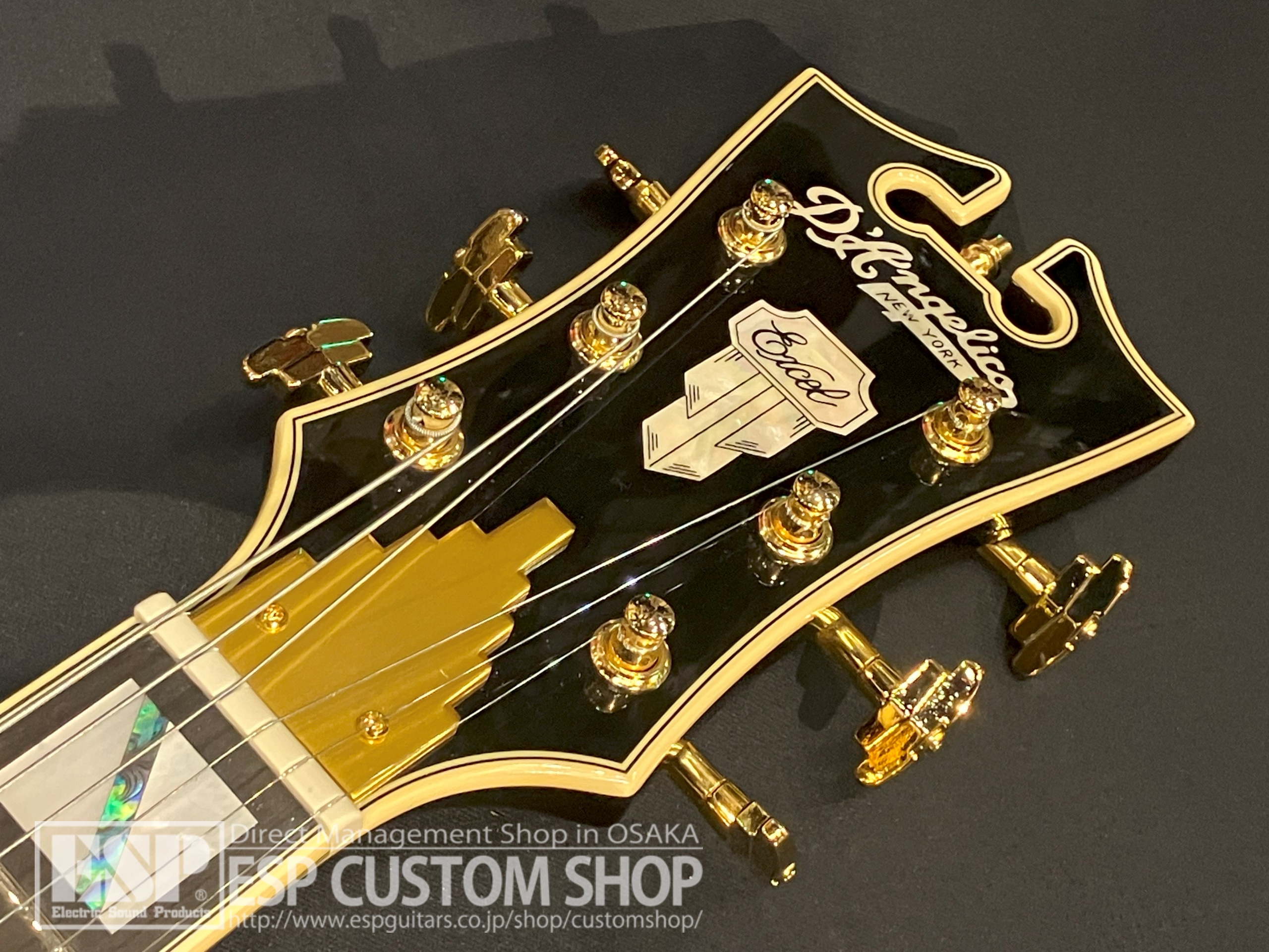 【即納可能】D'Angelico(ディアンジェリコ) Excel SS Shield Tremolo / Black Dog 大阪店