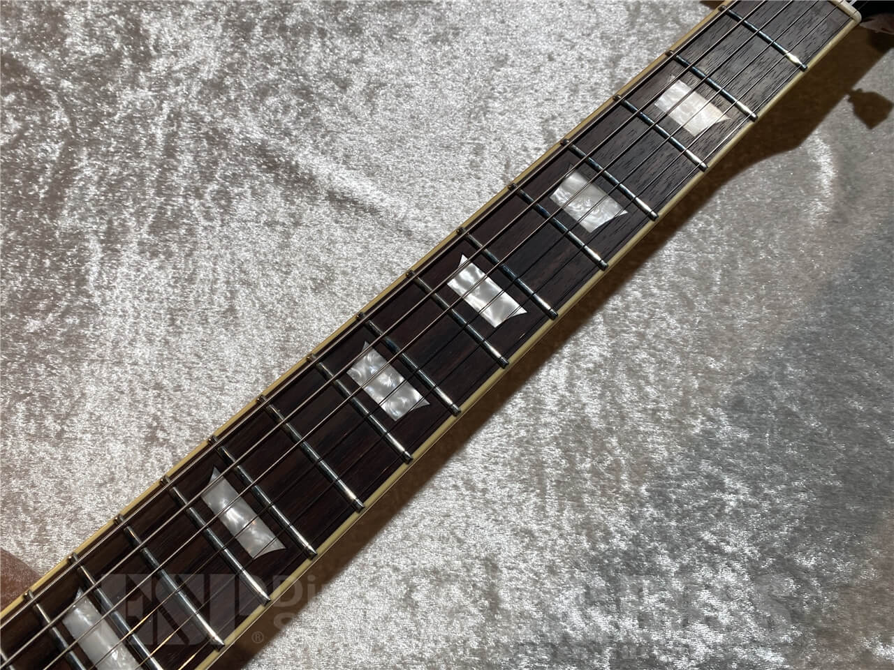 【即納可能】EDWARDS(エドワーズ) E-LP-STD/P (Gold Top) 札幌店