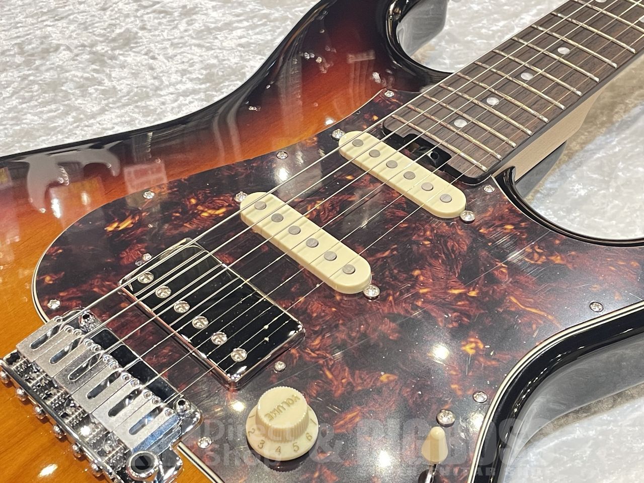 【即納可能】EDWARDS(エドワーズ) E-SNAPPER-AL/R【3 Tone Sunburst】福岡店 - 3