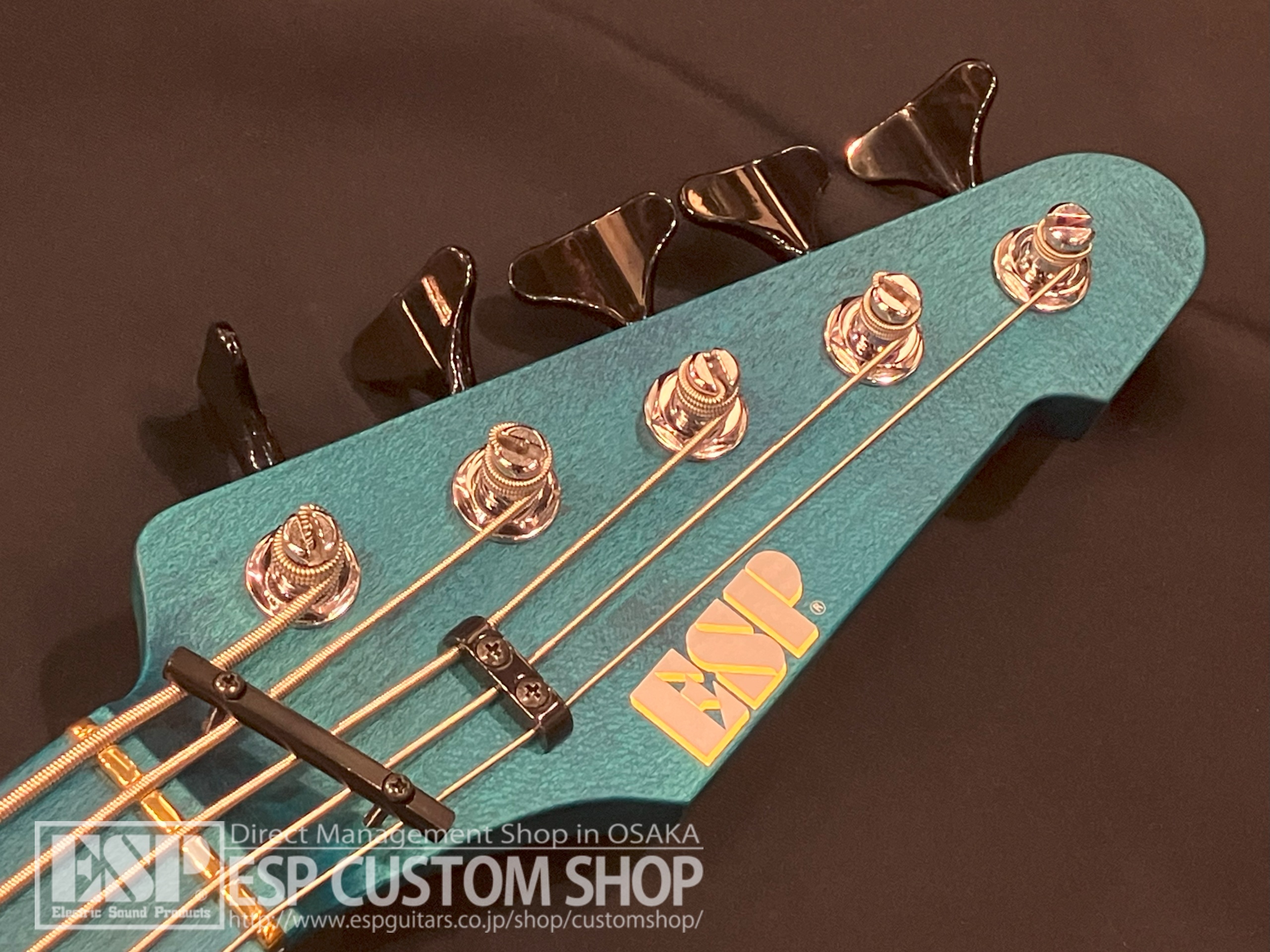 【即納可能/中古品】ESP(イーエスピー) Custom Order Model 5strings 大阪店