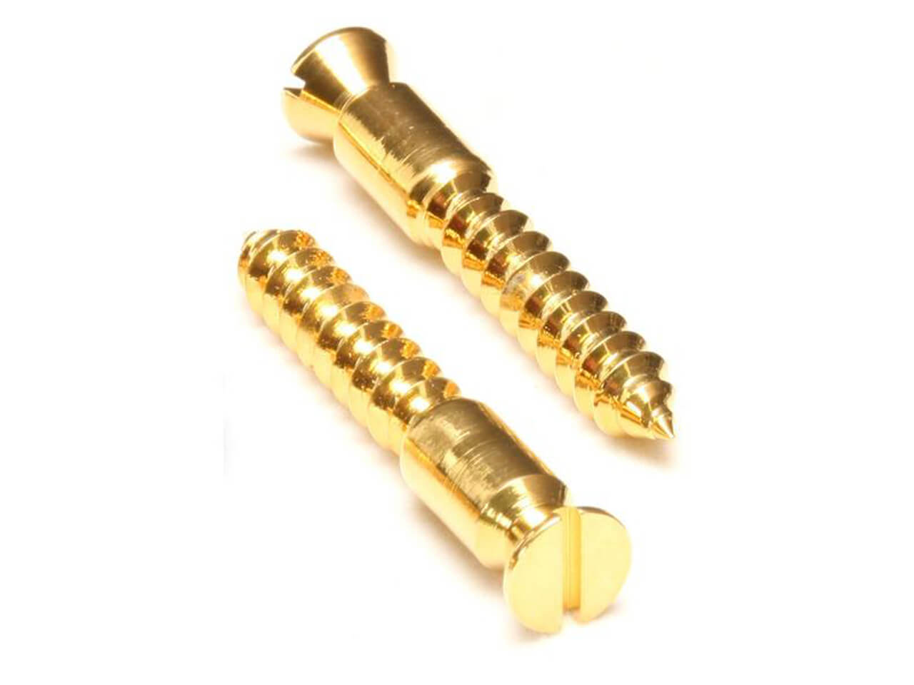 市川様専用Floyd Rose(フロイドローズ) FRBMWSSGP＆ FR7BSSGP