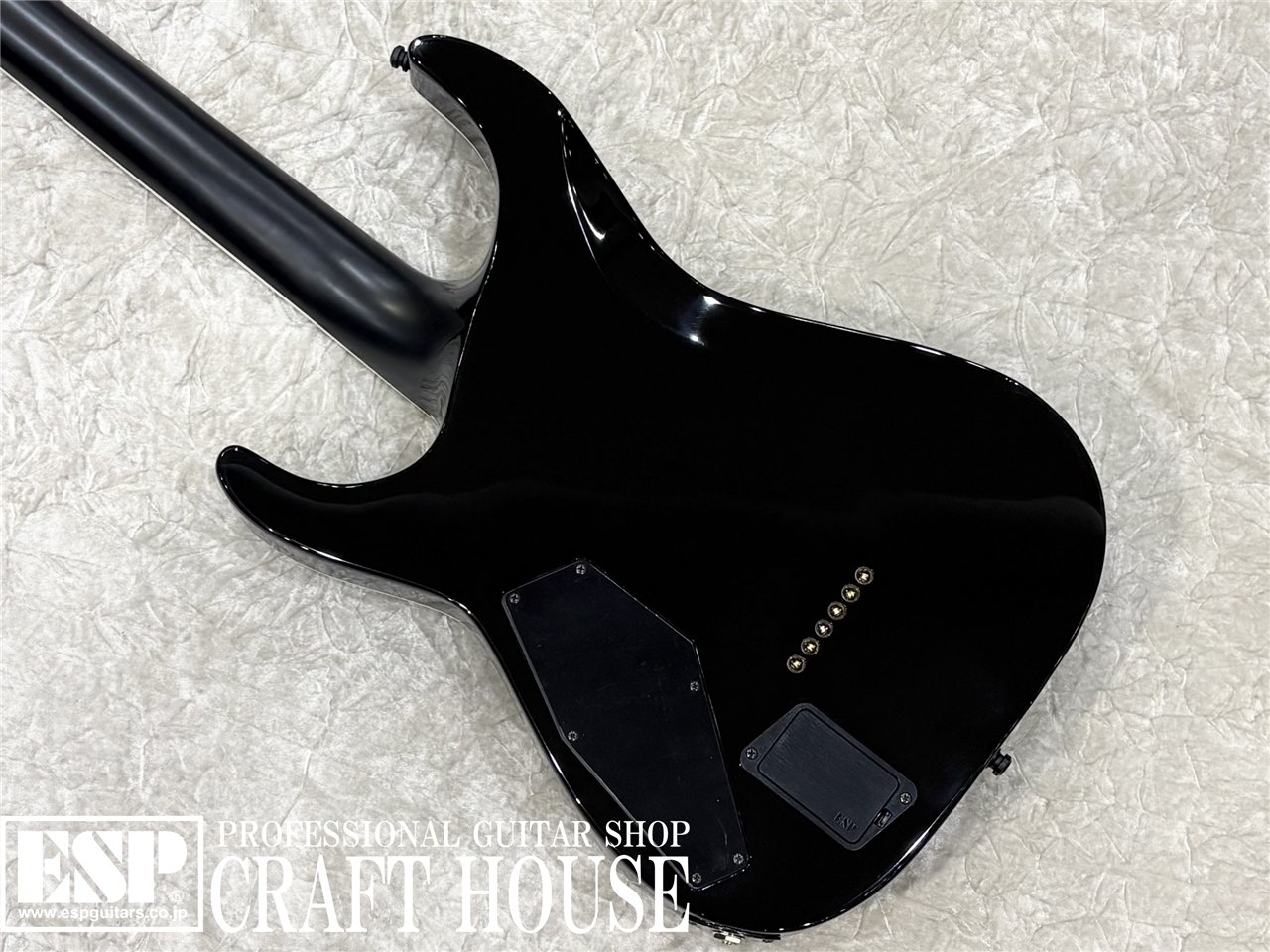 【即納可能】E-II HORIZON NT-II / Tiger Eye Sunburst 渋谷店 - 6