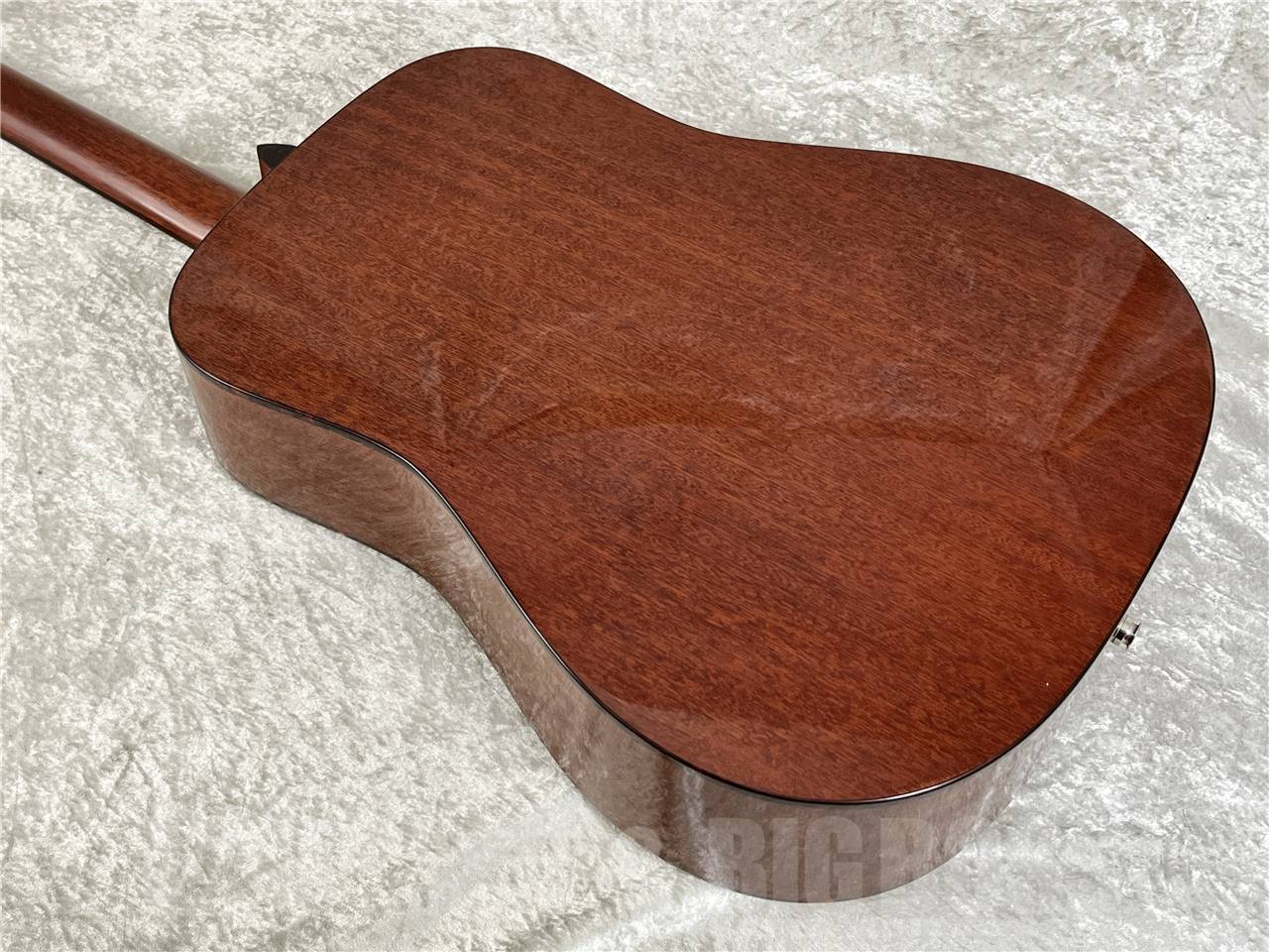 【即納可能】Eastman(イーストマン)E1D-DLX (アコースティックギターー)お茶の水駅前店・別館 - 8