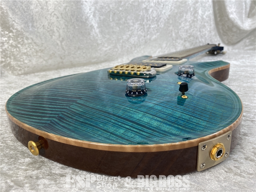 【即納可能】Paul Reed Smith  (ポールリードスミス/PRS) Japan Exclusive Model Wood Library Custom 24(Laguna) (2026年製 S/N0428375) - 5