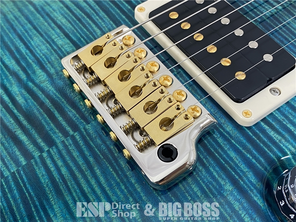 【即納可能】Paul Reed Smith  (ポールリードスミス/PRS) Japan Exclusive Model Wood Library Custom 24(Laguna) (2026年製 S/N0428375) - 6