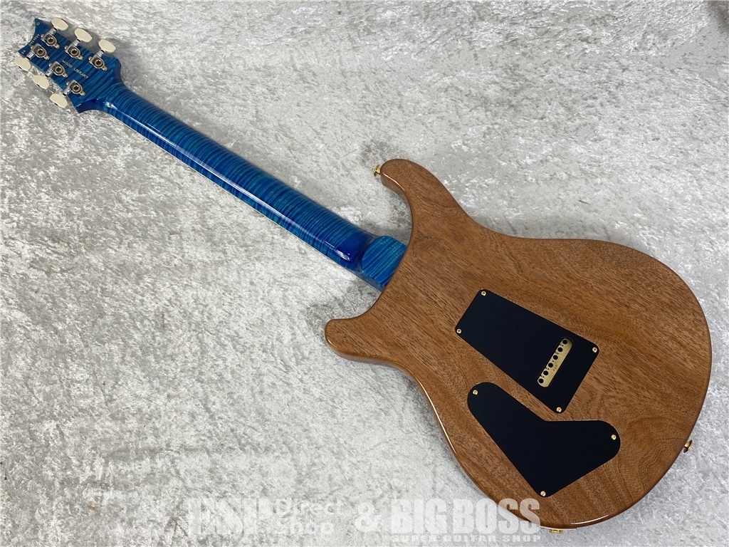 【即納可能】Paul Reed Smith  (ポールリードスミス/PRS) Japan Exclusive Wood Library McCarty Trem 10Top(Arctic Blue) (2026年製 S/N0429324) - 10