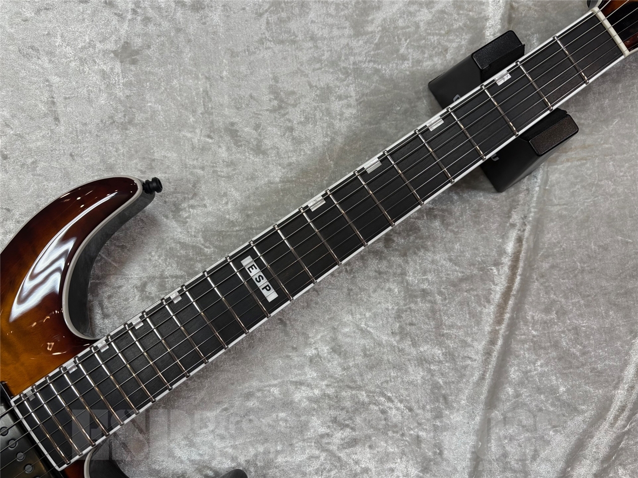 【即納可能】E-II(イーツー) HORIZON NT-II EMG/Tiger Eye Sunburst　GWS - 6
