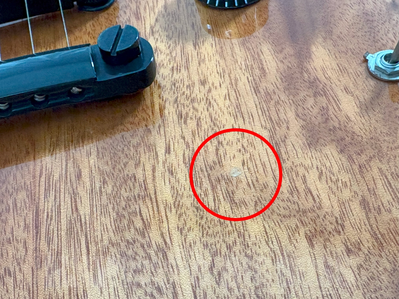 【即納可能/OUTLET】GrassRoots(グラスルーツ) G-一角 (Natural) / 04 Limited Sazabys RYU-TAモデル お茶の水駅前店(東京)