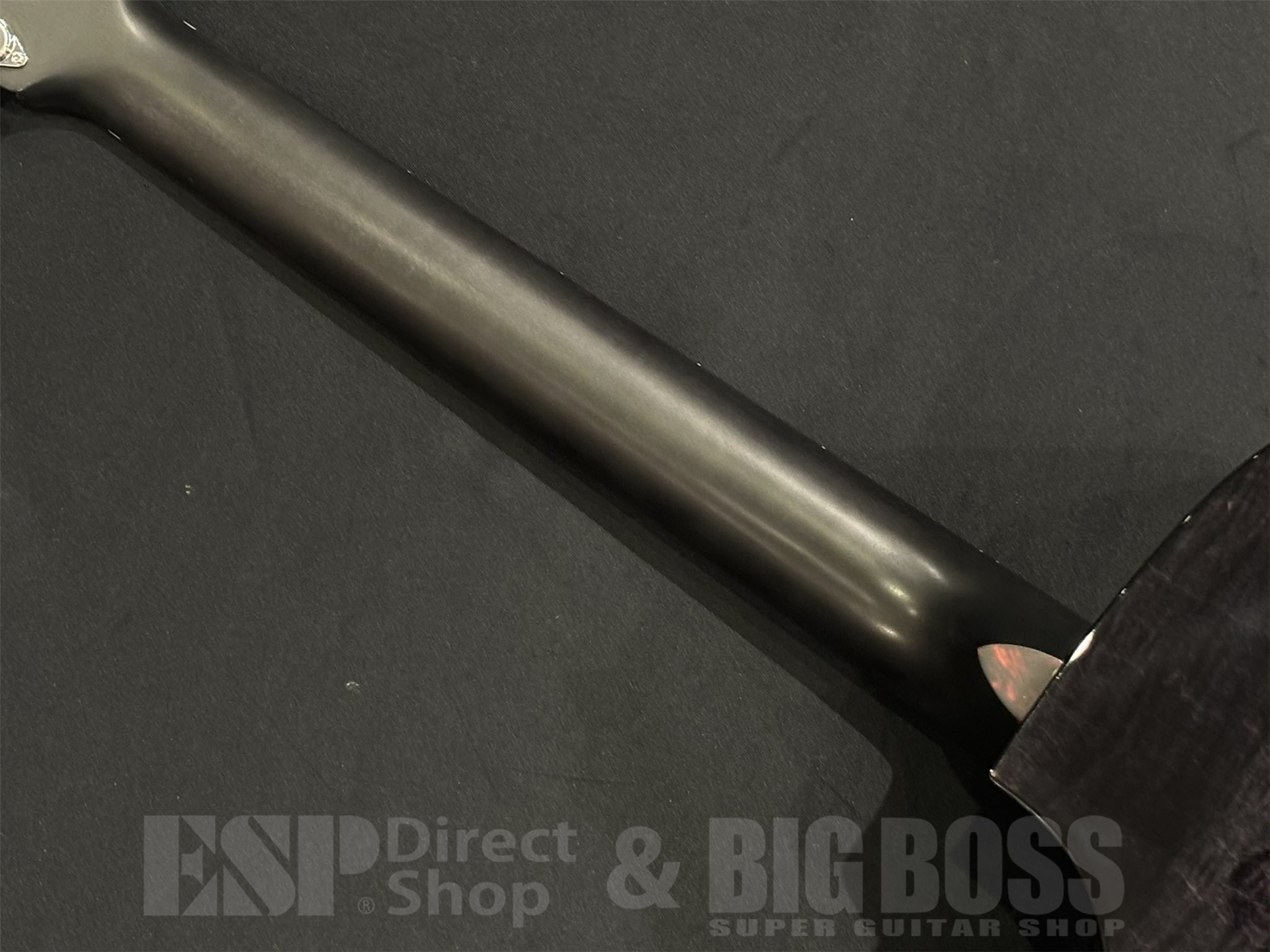 【即納可能】Eastman(イーストマン) PCH3-GACE-TBK 京都店