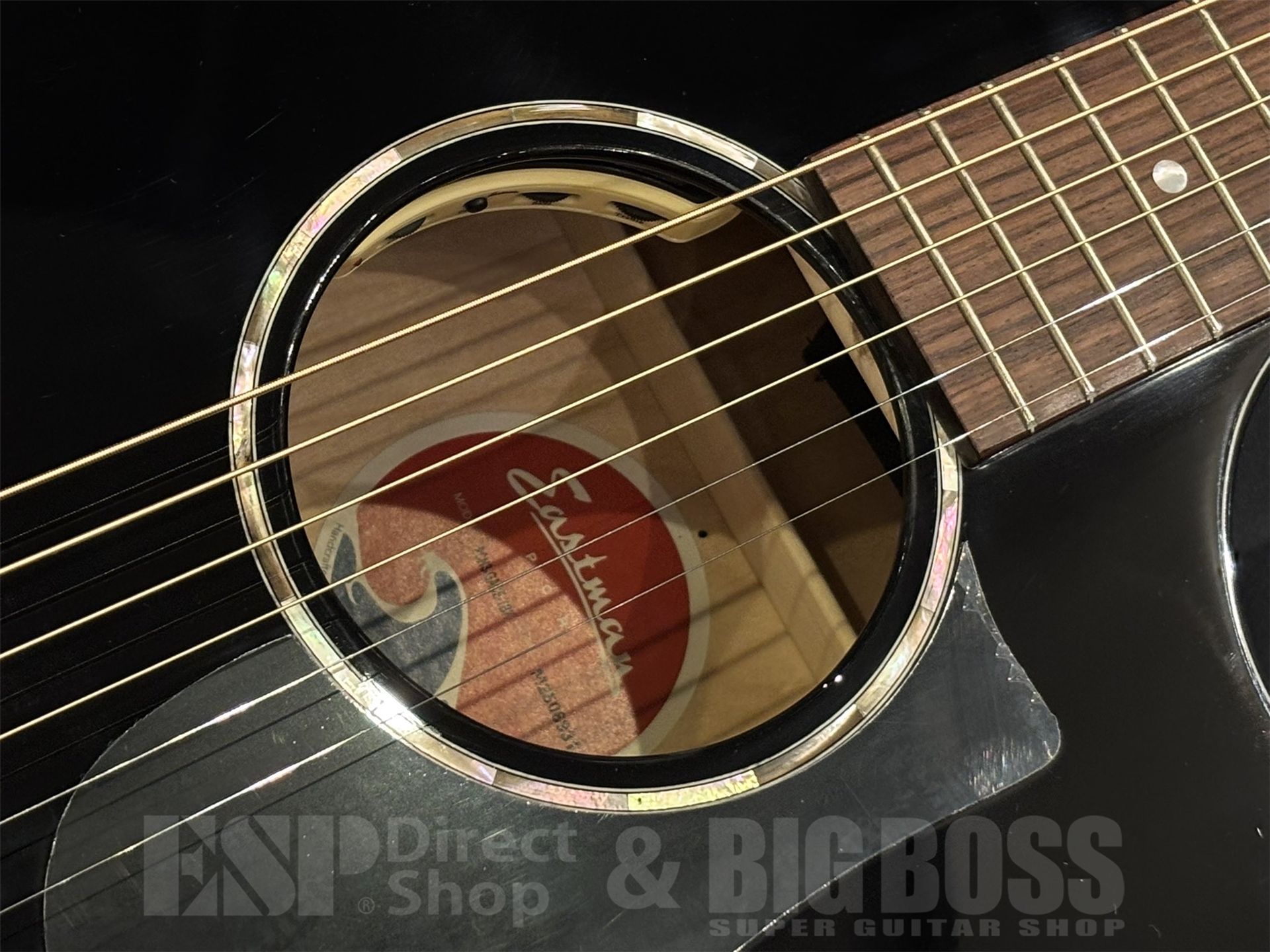 【即納可能】Eastman(イーストマン) PCH3-GACE-TBK 京都店