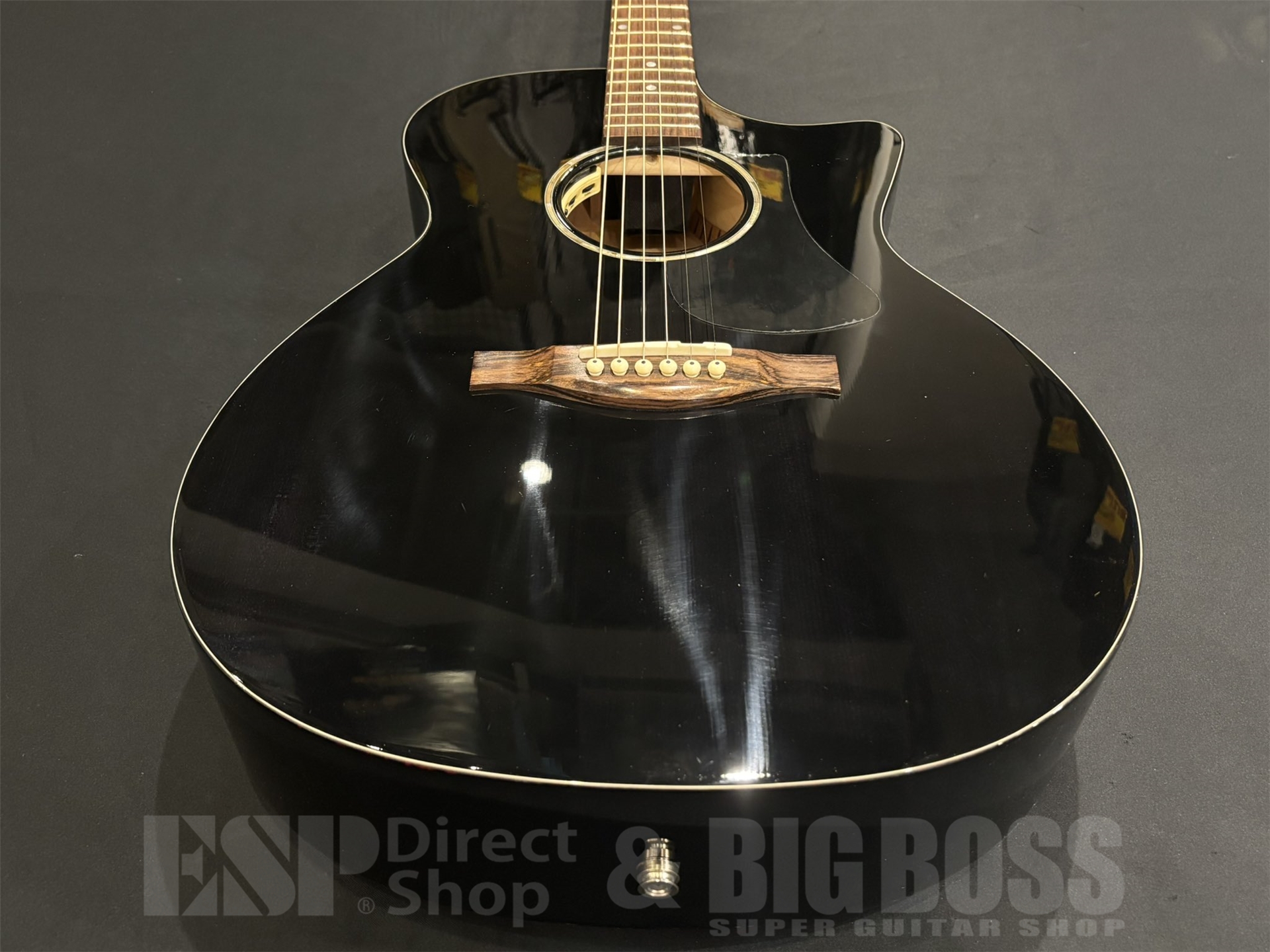 【即納可能】Eastman(イーストマン) PCH3-GACE-TBK 京都店