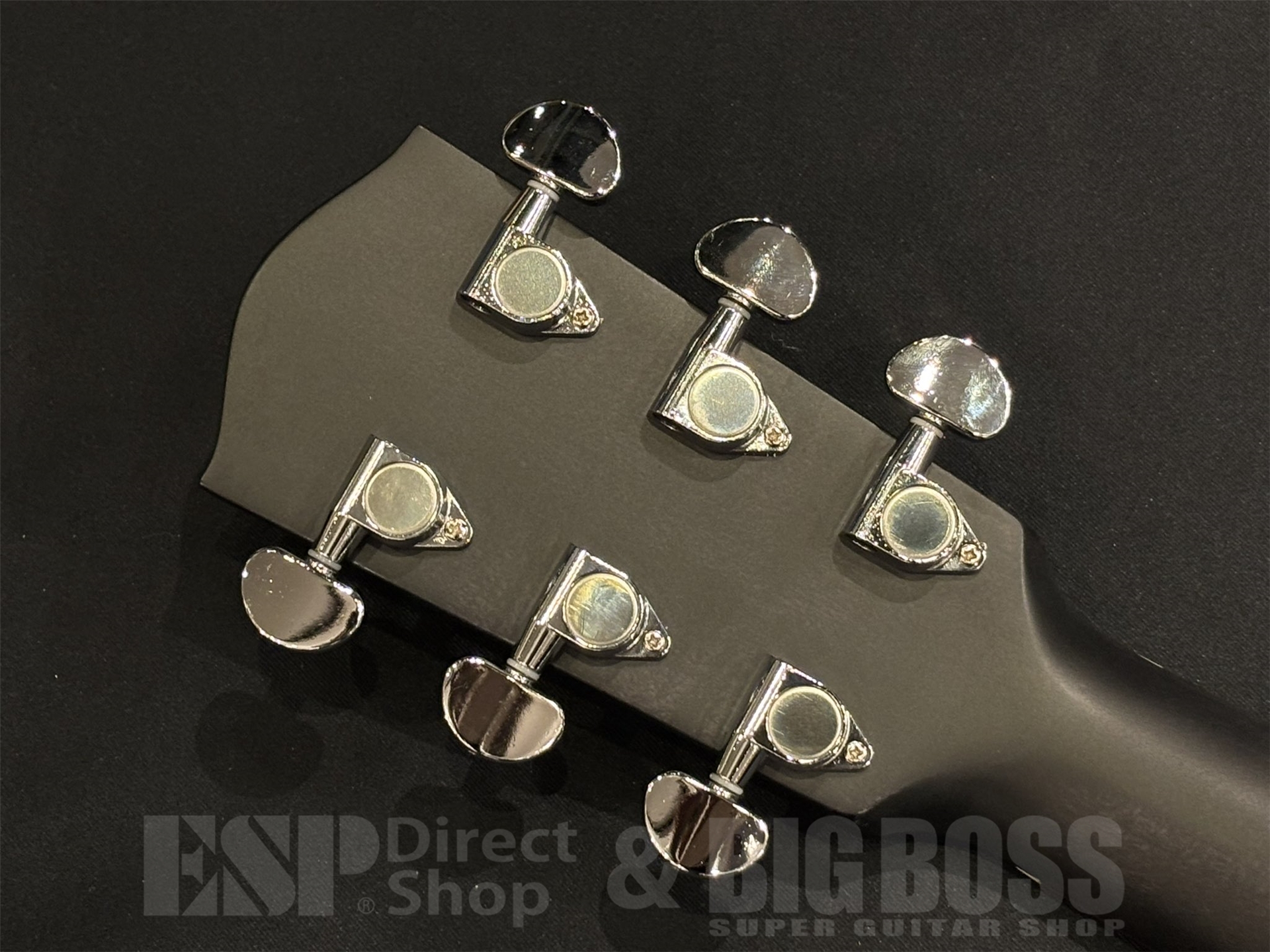 【即納可能】Eastman(イーストマン) PCH3-GACE-TBK 京都店