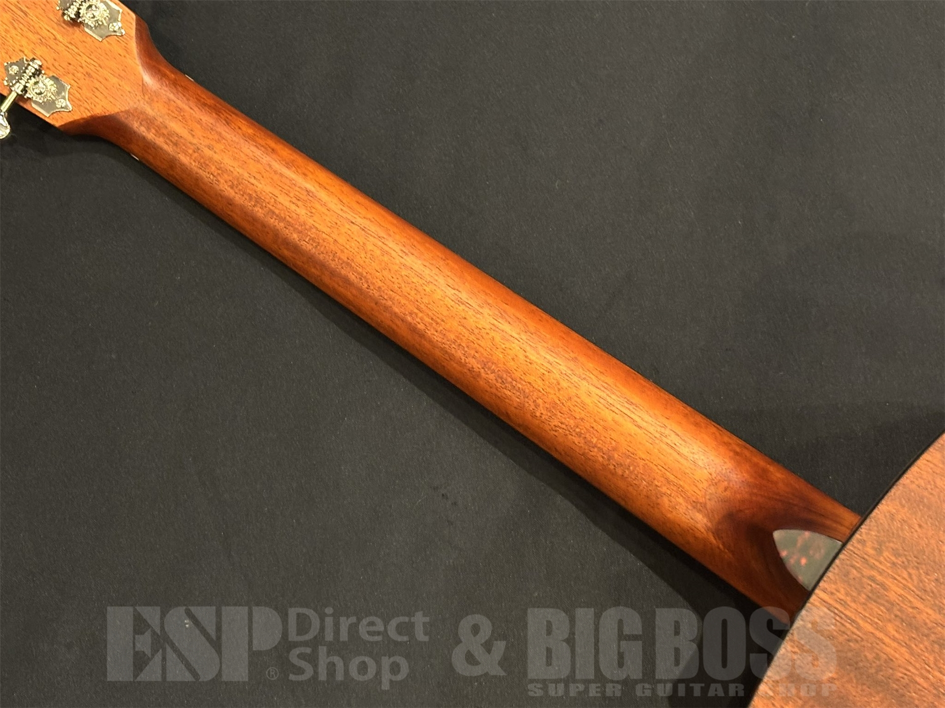 【即納可能】Eastman(イーストマン) E1 SS-SB 京都店