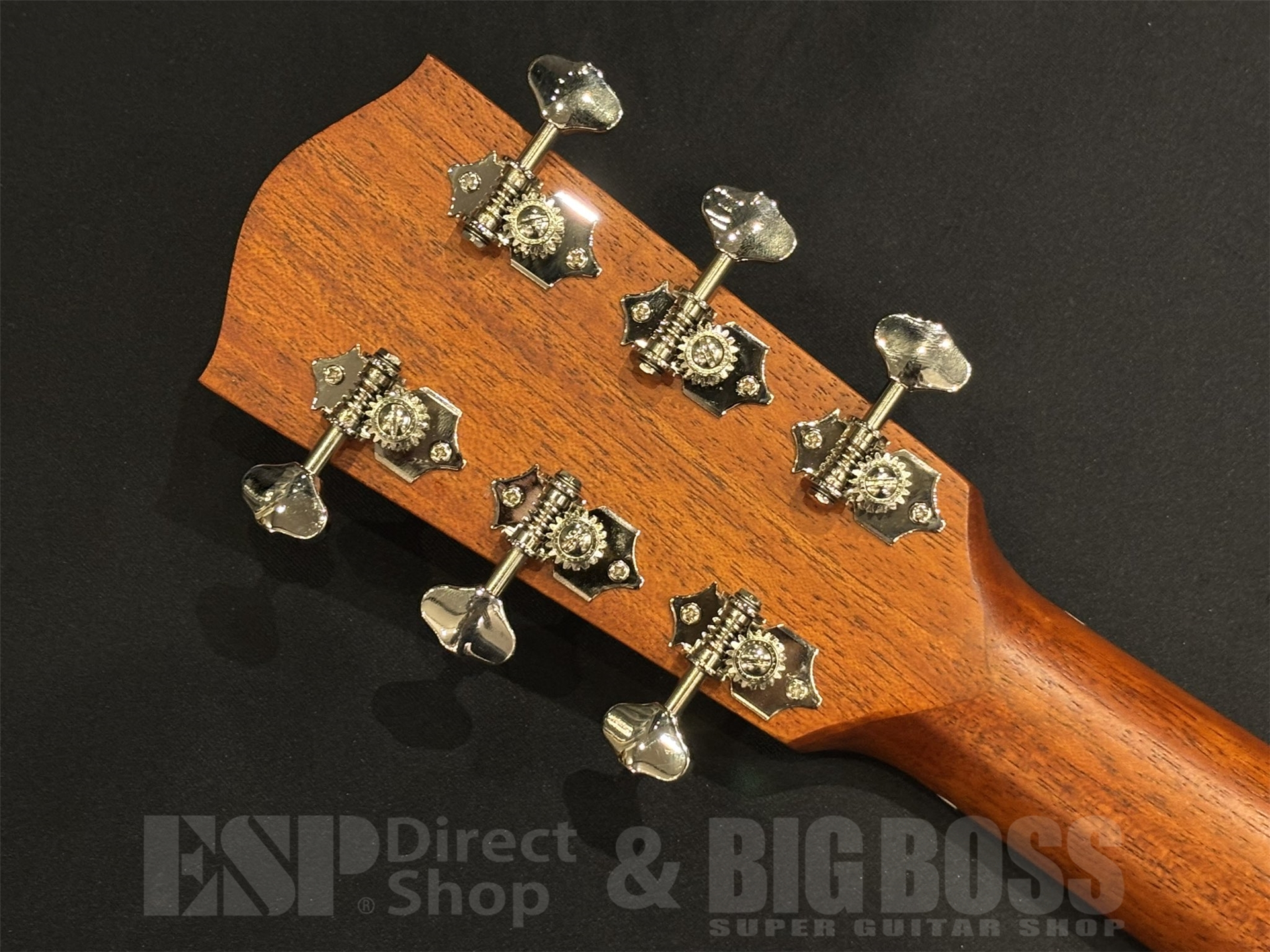 【即納可能】Eastman(イーストマン) E1 SS-SB 京都店