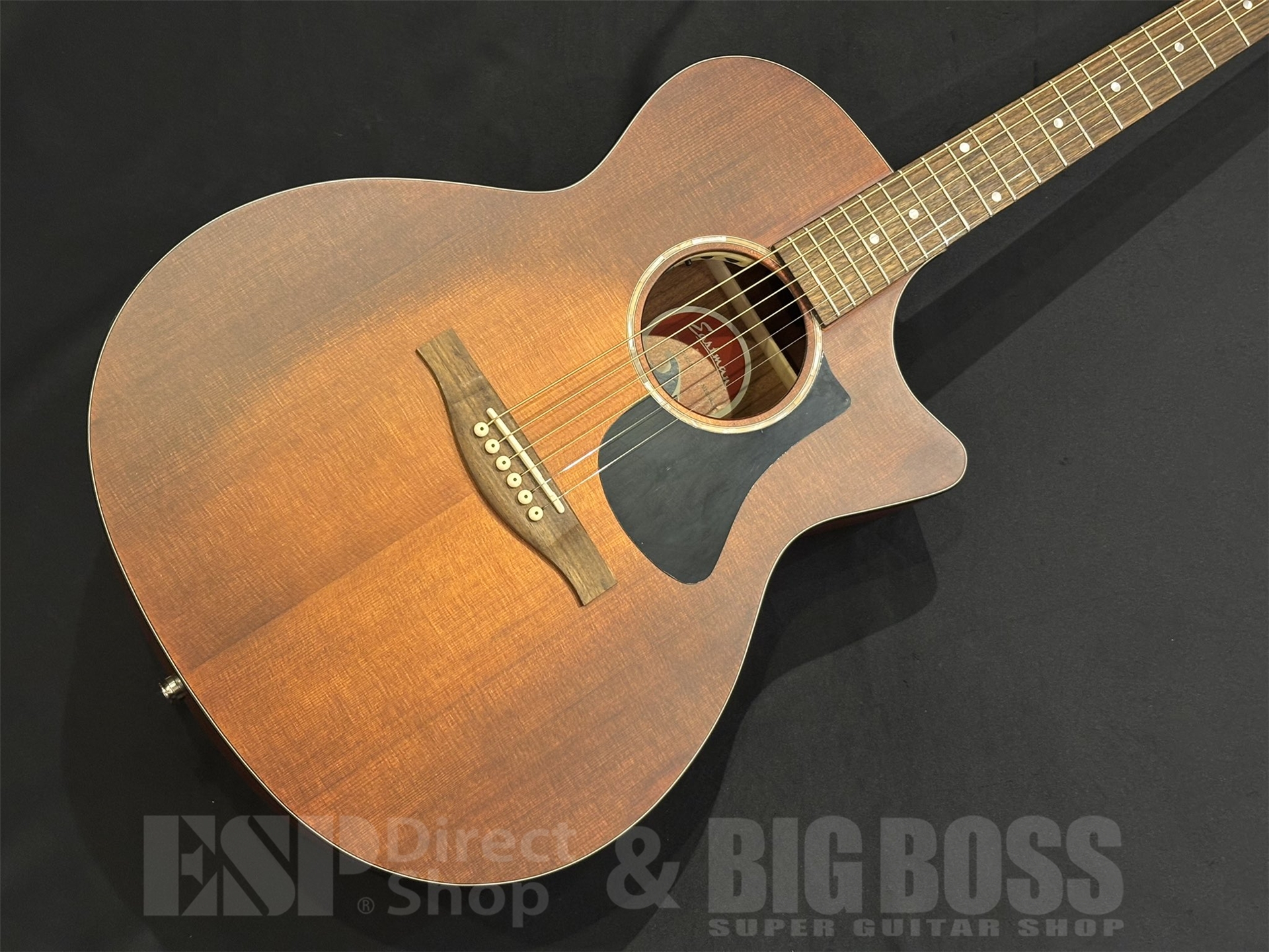 【即納可能】Eastman (イーストマン) PCH1-GACE-CLA 京都店