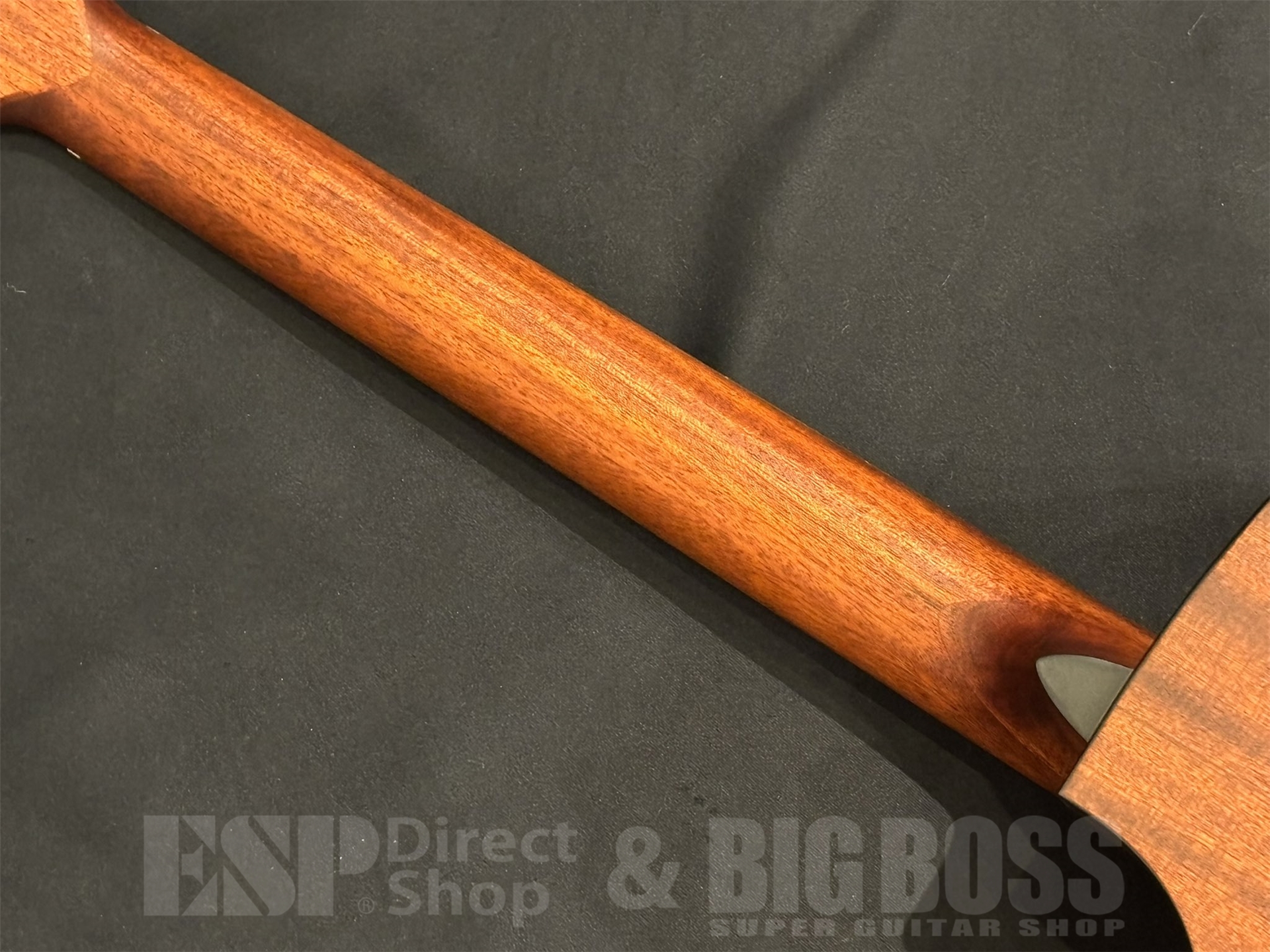 【即納可能】Eastman (イーストマン) PCH1-GACE-CLA 京都店