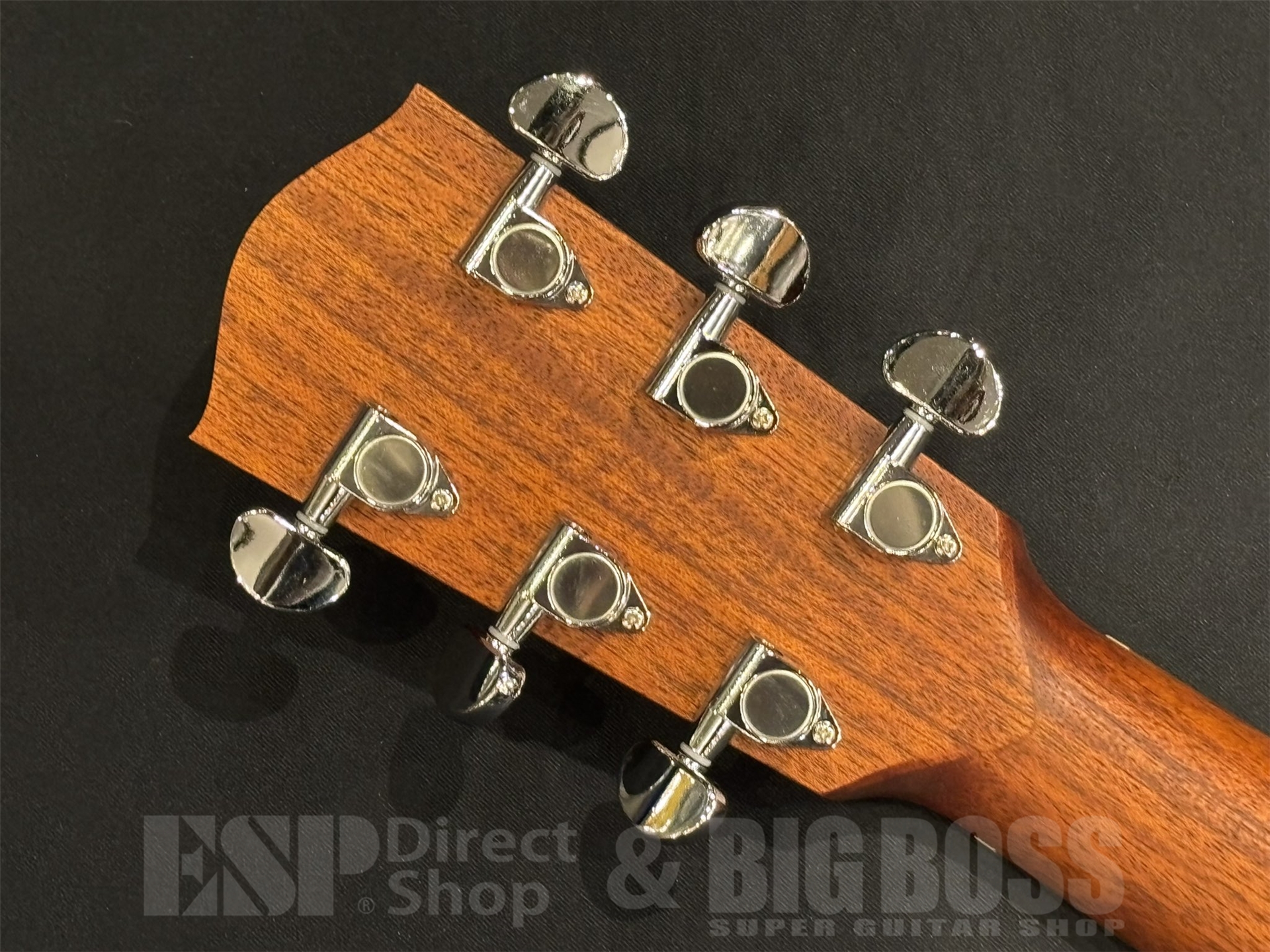 【即納可能】Eastman (イーストマン) PCH1-GACE-CLA 京都店