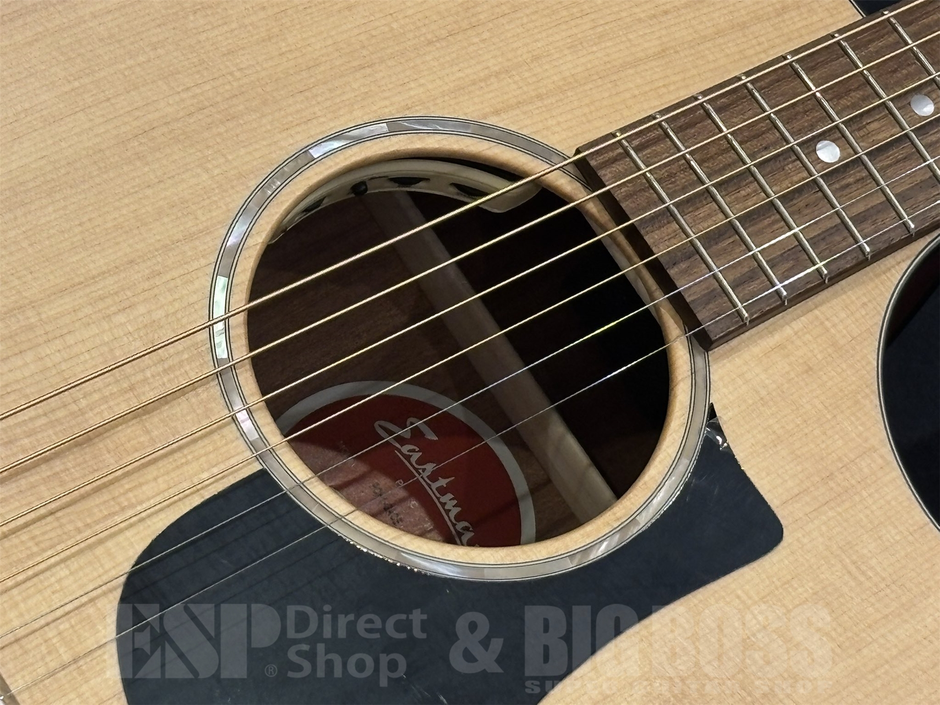 【即納可能】Eastman(イーストマン) PCH1-GACE 京都店