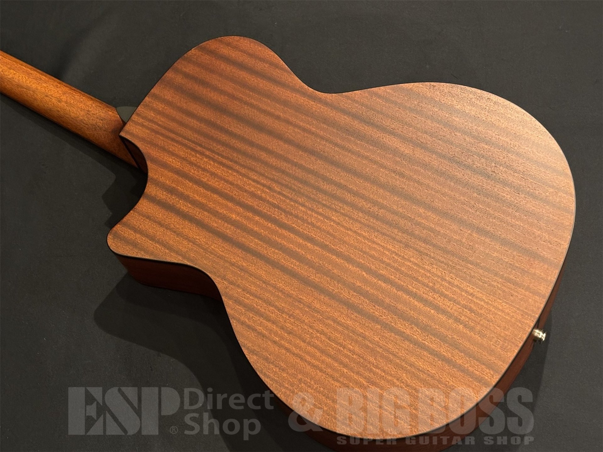 【即納可能】Eastman(イーストマン) PCH1-GACE 京都店