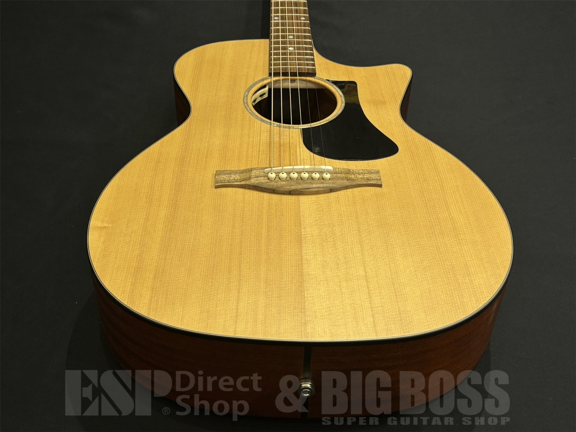 【即納可能】Eastman(イーストマン) PCH1-GACE 京都店