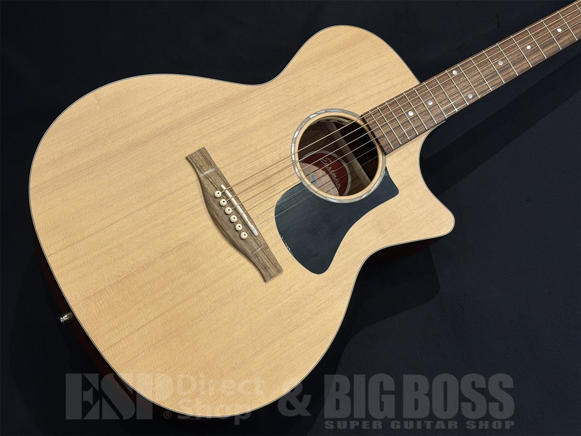 【即納可能】Eastman(イーストマン) PCH1-GACE 京都店