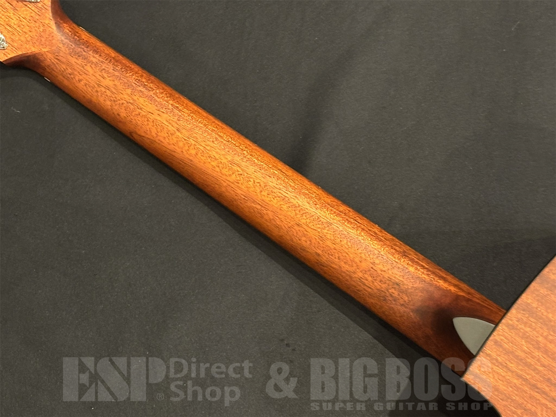 【即納可能】Eastman(イーストマン) PCH1-GACE 京都店