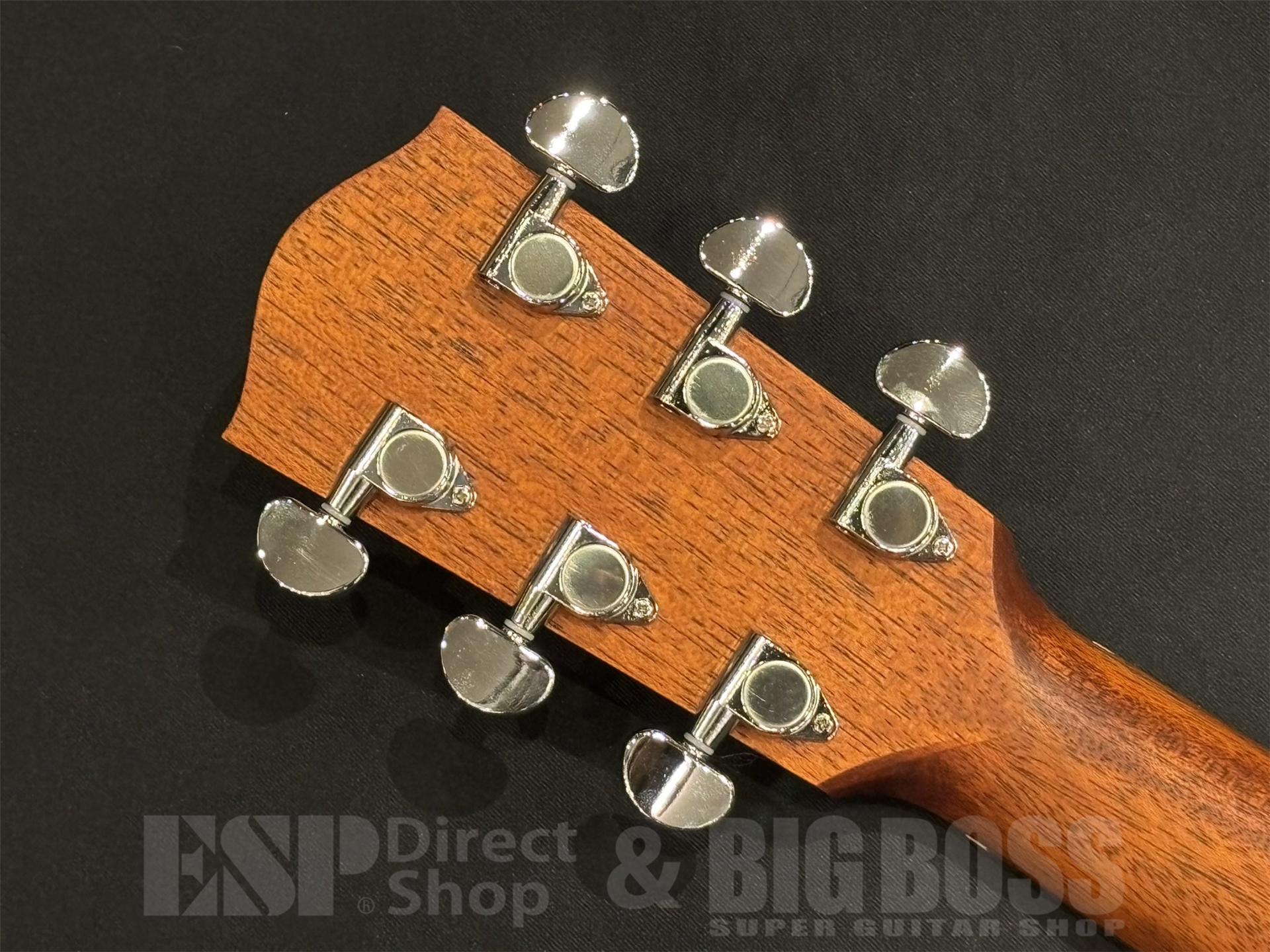 【即納可能】Eastman(イーストマン) PCH1-GACE 京都店