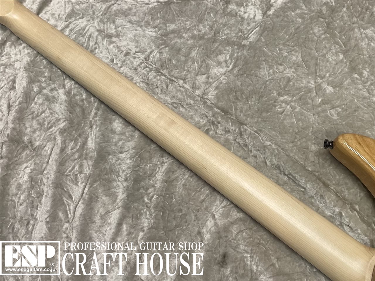 【即納可能】Dingwall Combustion CC3 4st / Natural Ash 渋谷店