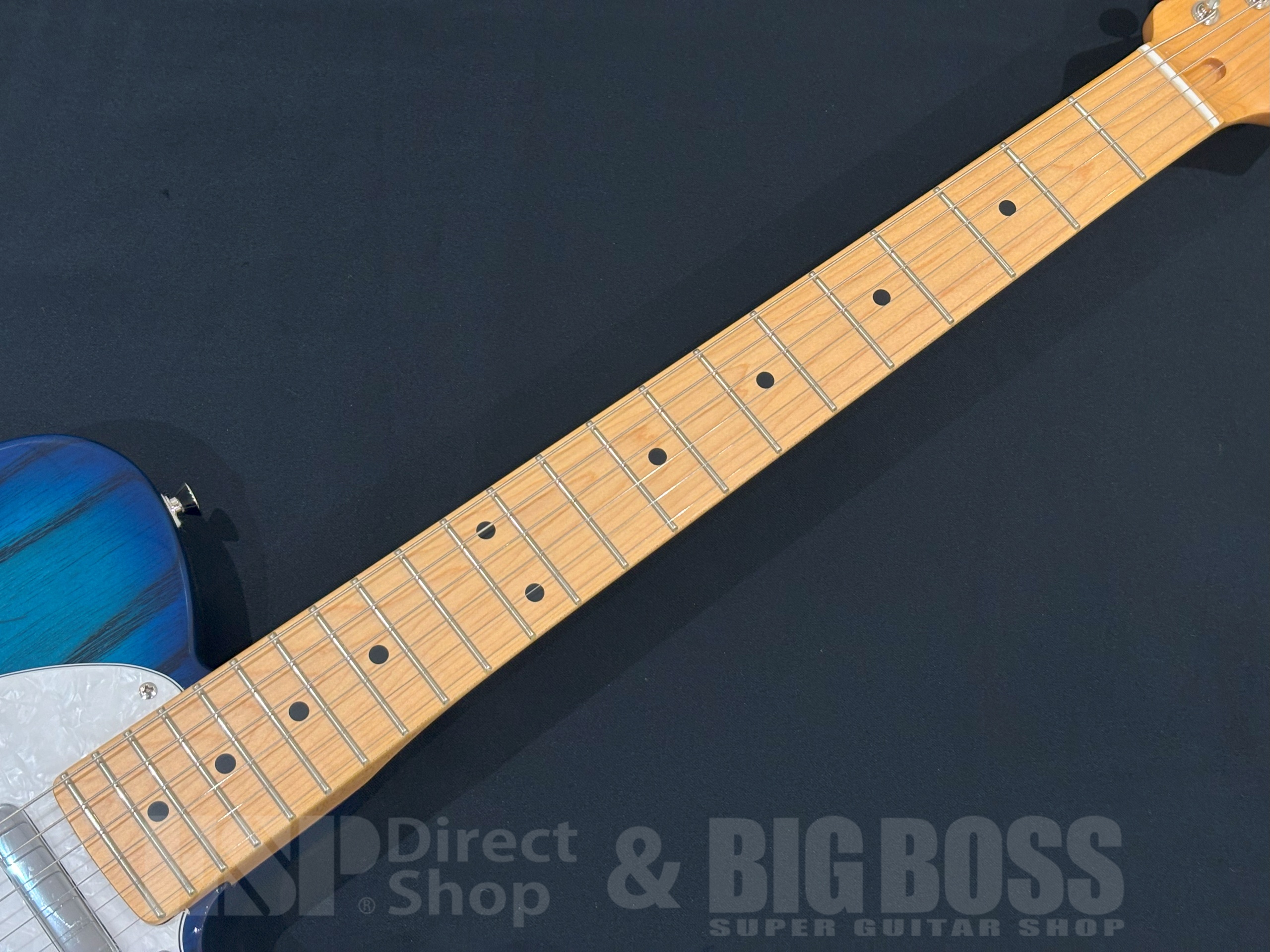 【即納可能】FUJIGEN (FGN) NTE100MAH / See-Thru Blue Burst 大阪店