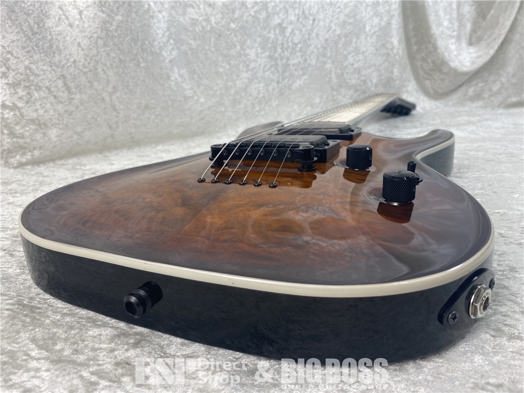 【即納可能】E-II(イーツー) HORIZON NT-II / Tiger Eye Sunburst お茶の水駅前店(東京) - 4