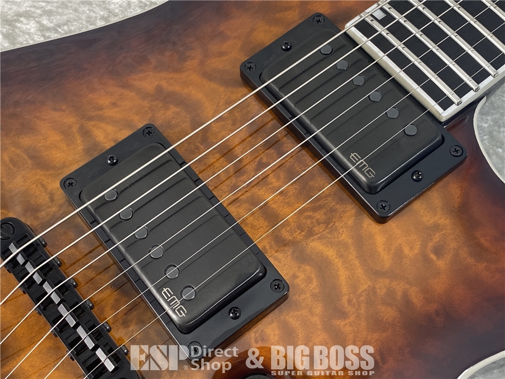 【即納可能】E-II(イーツー) HORIZON NT-II / Tiger Eye Sunburst お茶の水駅前店(東京) - 6