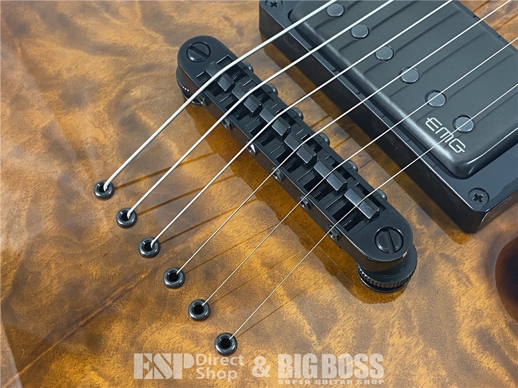 【即納可能】E-II(イーツー) HORIZON NT-II / Tiger Eye Sunburst お茶の水駅前店(東京) - 5