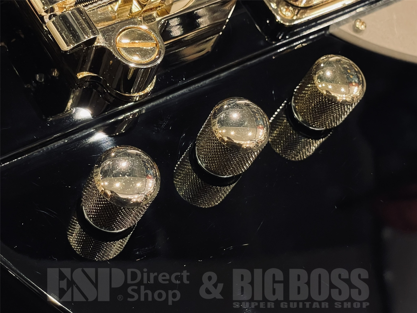 【USED/即納可能】Epiphone(エピフォン)Rex Brown Signature Thunderbird / Black 京都店 - 4
