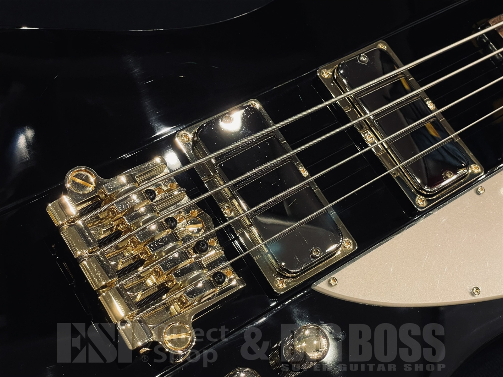 【USED/即納可能】Epiphone(エピフォン)Rex Brown Signature Thunderbird / Black 京都店 - 3