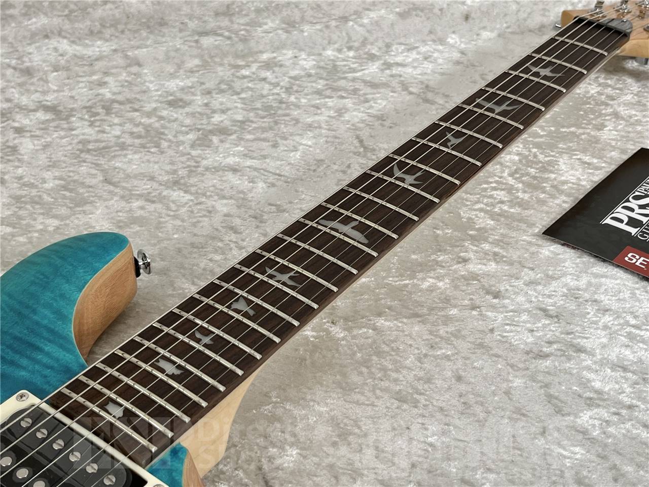 【即納可能】Paul Reed Smith(PRS/ポールリードスミス) SE Custom 24 / Blue Matteo (2024年製)お茶の水駅前店・別館