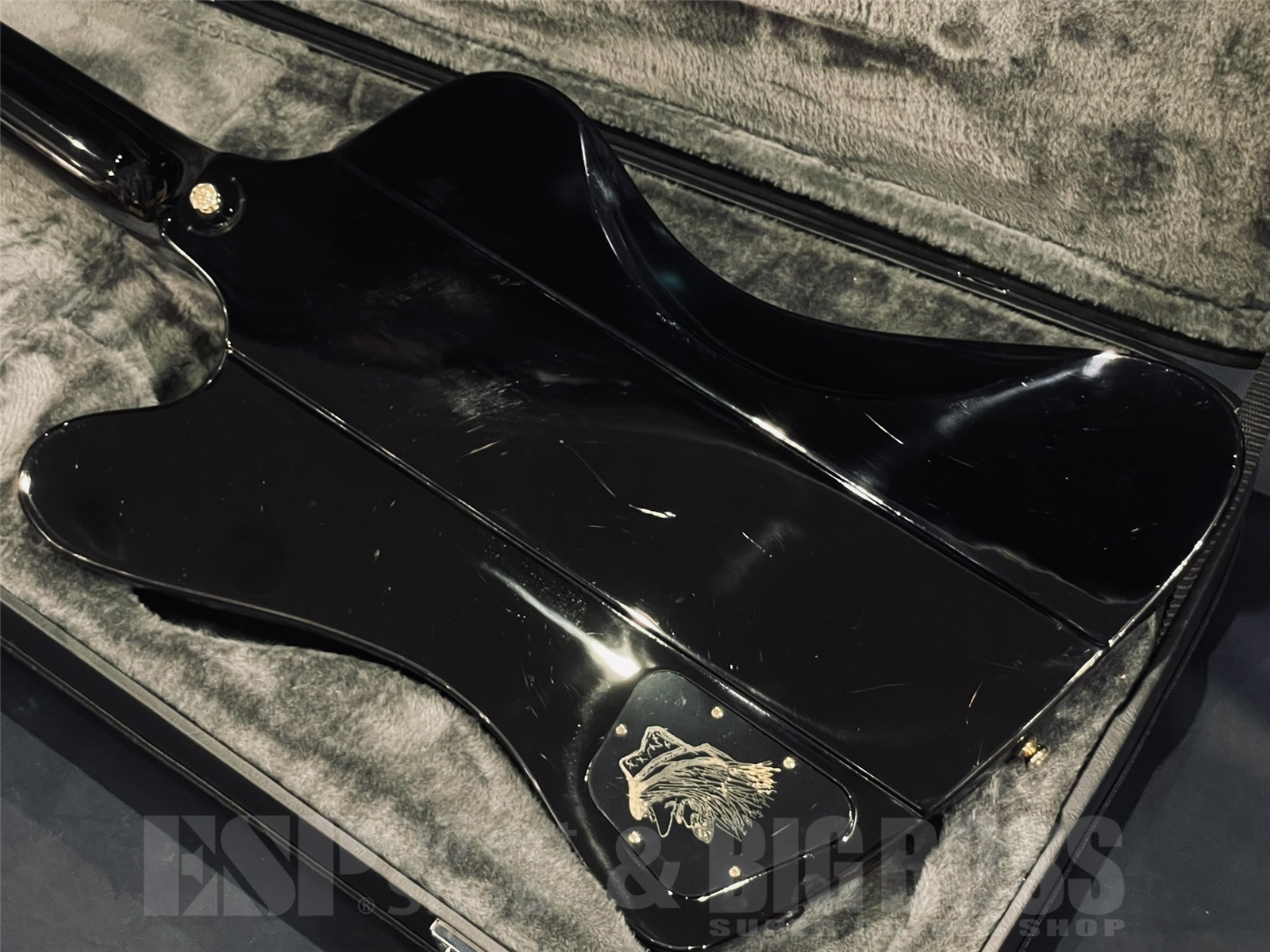 【USED/即納可能】Epiphone(エピフォン)Rex Brown Signature Thunderbird / Black 京都店 - 9