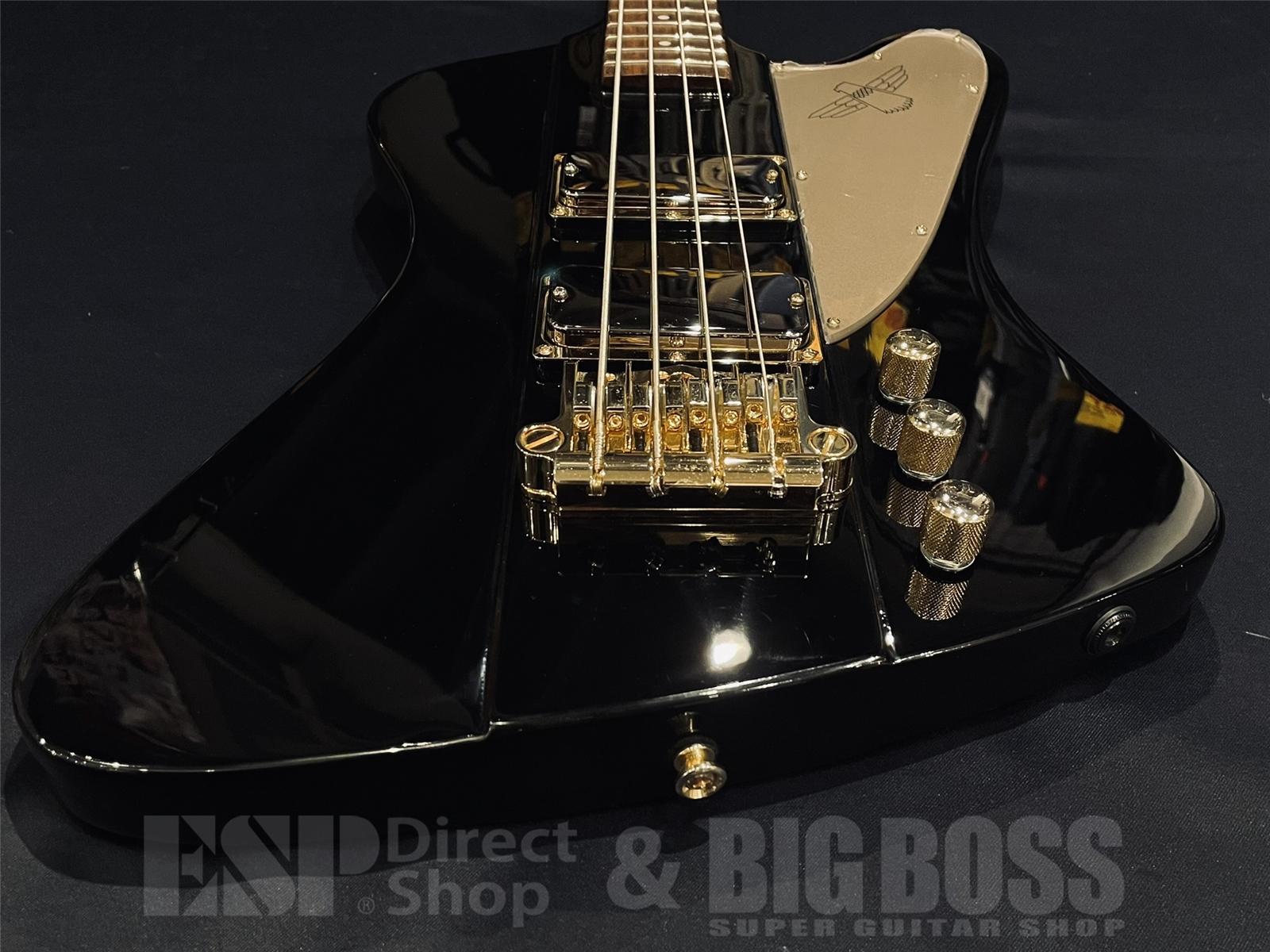 【USED/即納可能】Epiphone(エピフォン)Rex Brown Signature Thunderbird / Black 京都店 - 7