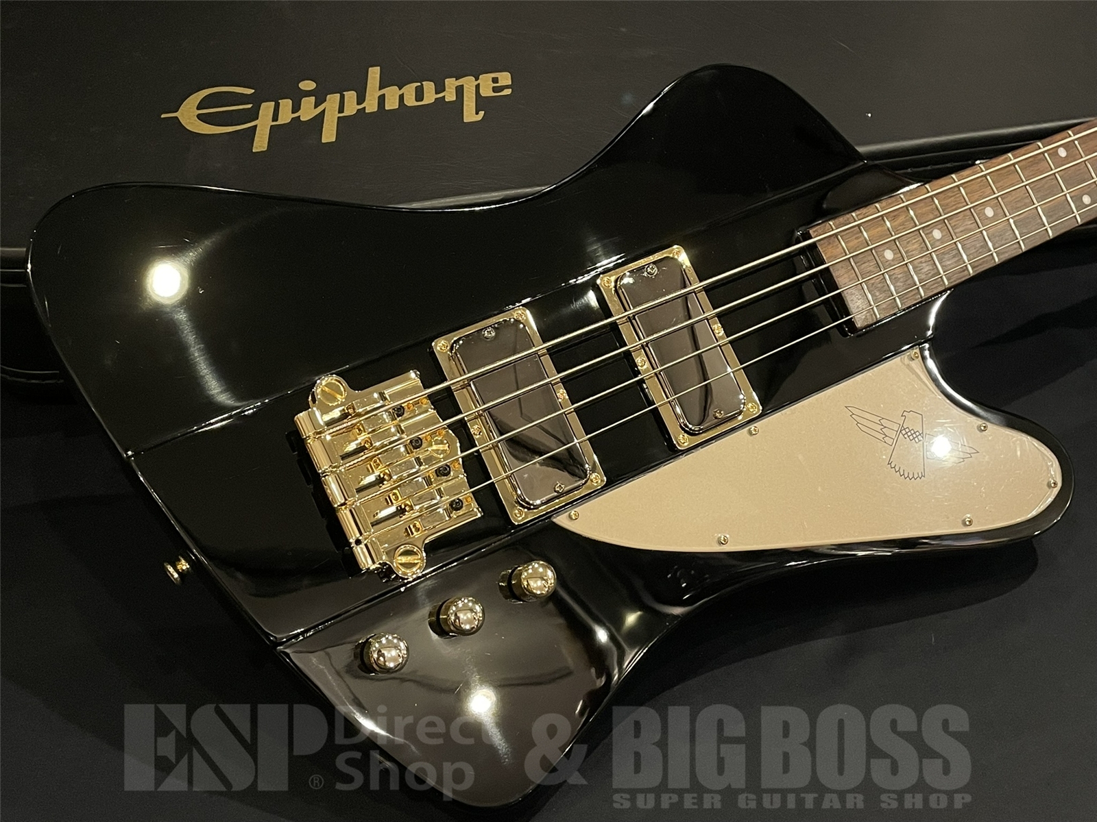 【USED/即納可能】Epiphone(エピフォン)Rex Brown Signature Thunderbird / Black 京都店 - 2