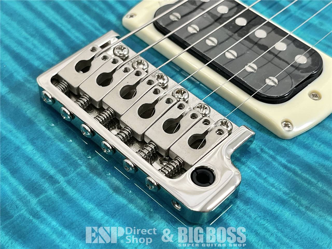 【即納可能】Paul Reed Smith(PRS/ポールリードスミス) SE Custom 24 / Blue Matteo (2025年製)お茶の水駅前店・別館 - 4