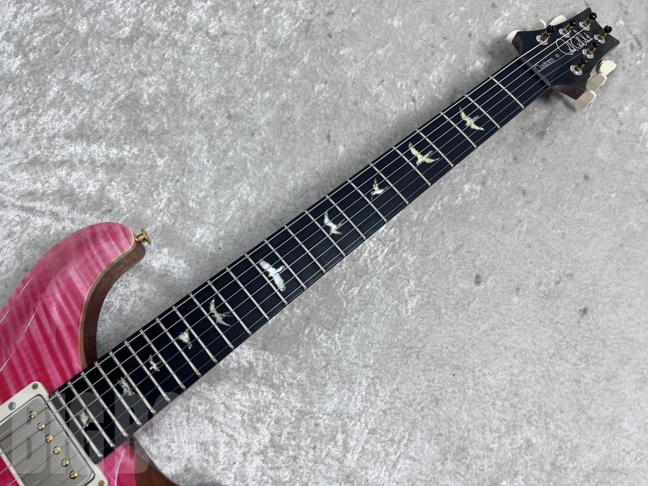 【即納可能】Paul Reed Smith  (ポールリードスミス/PRS) Wood Library Custom 24 / Bonnie Pink (S/N0383611)